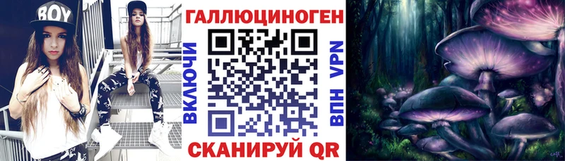 кракен ТОР  где можно купить наркотик  Новоалександровск  Псилоцибиновые грибы прущие грибы 
