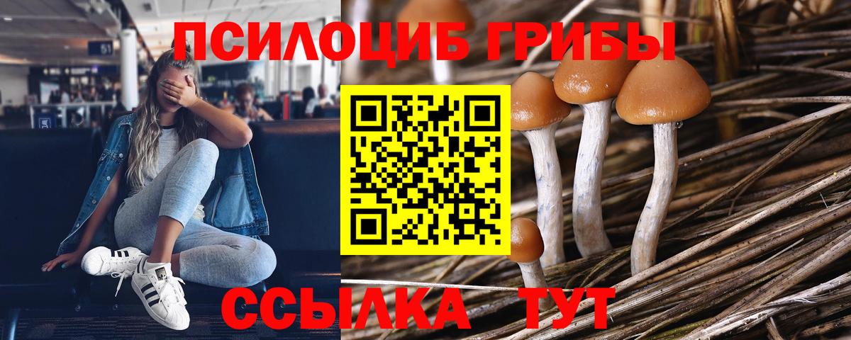 Галлюциногенные грибы ЛСД  Вход с VPN  Новоалександровск  купить наркоту  Псилоцибиновые грибы Magic Shrooms 
