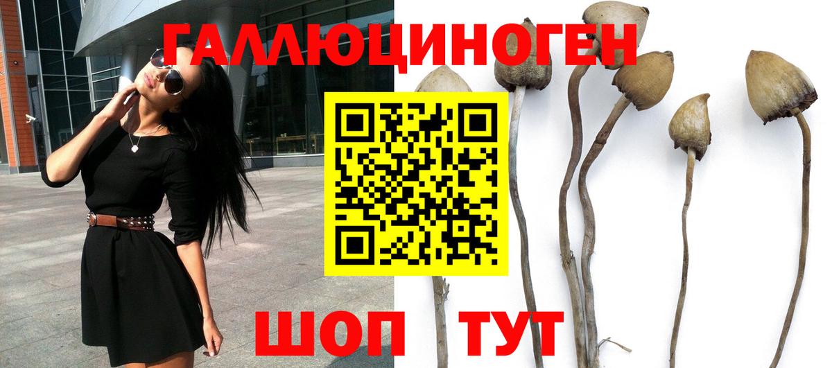 Галлюциногенные грибы мицелий Новоалександровск